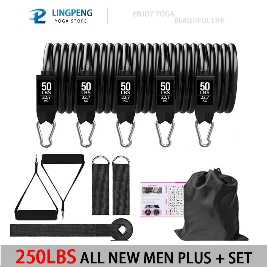 Resistance Exercise Bands