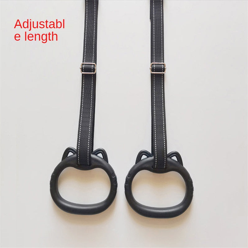 ABS Gym Ring