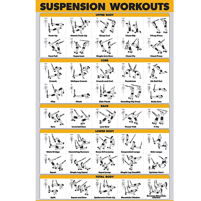 Suspension Resistance Bands