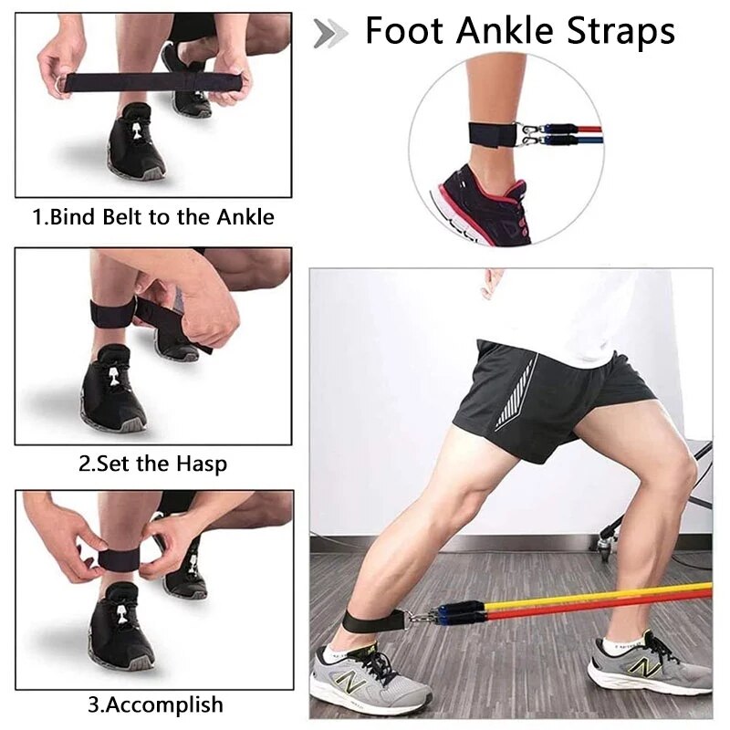 Expander Elastic Bands
