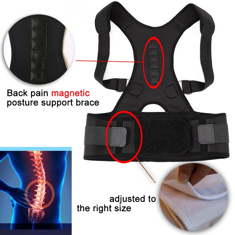 Magnetic Therapy Belt