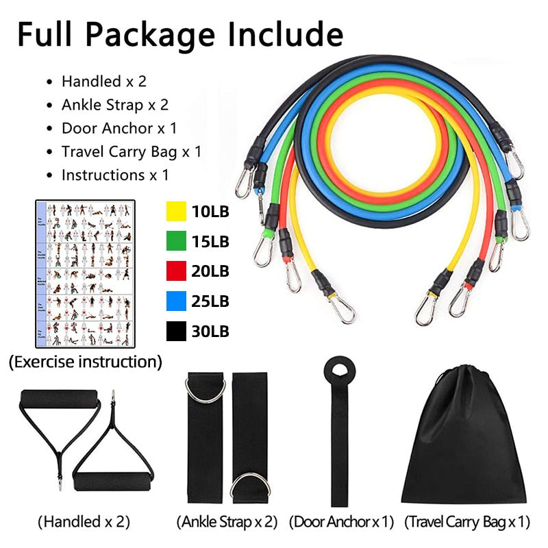 Expander Elastic Bands