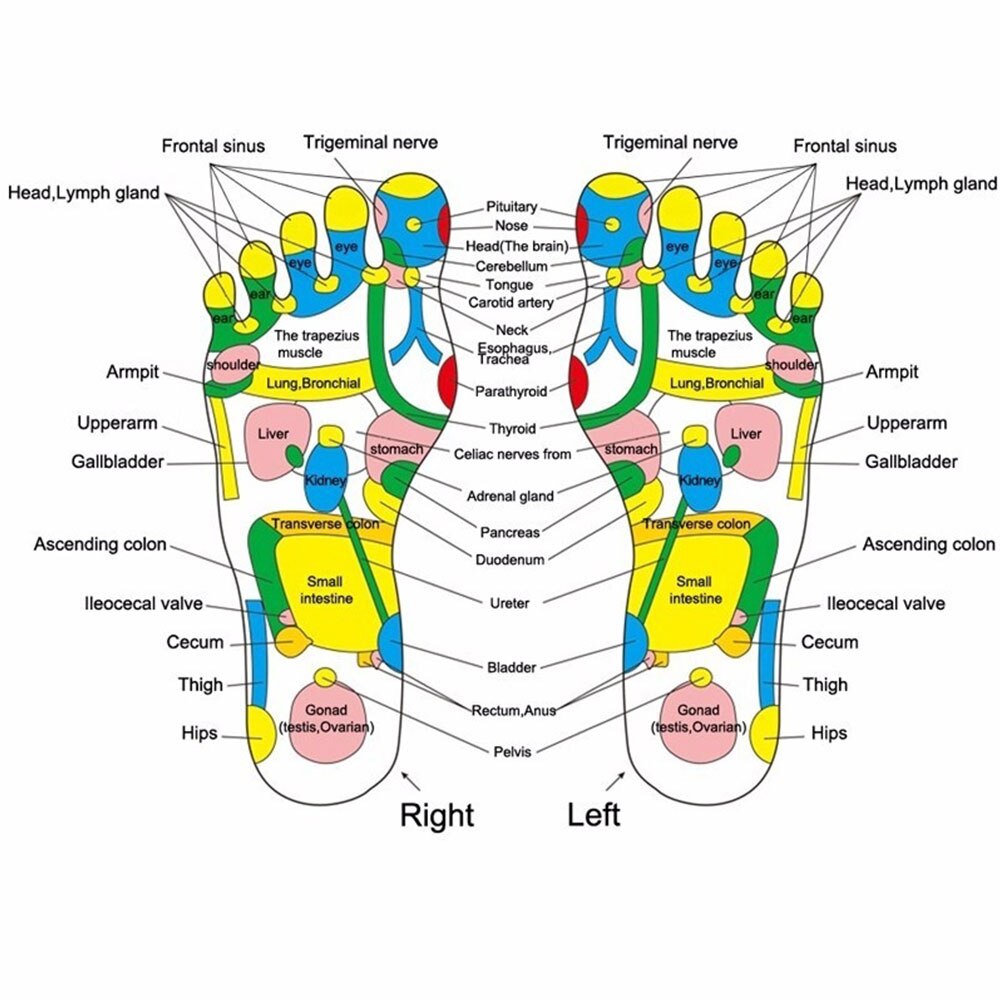 Reflexology  Massager Mat