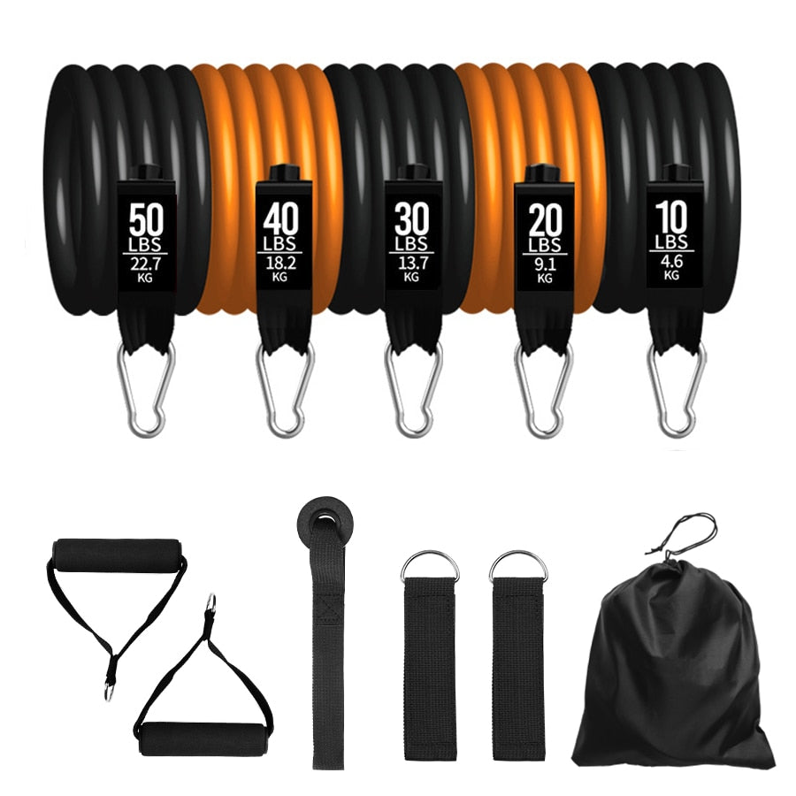 Body Training Bands