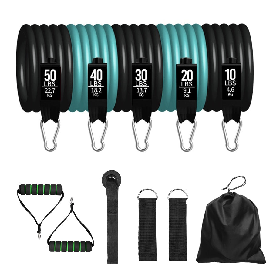 Body Training Bands