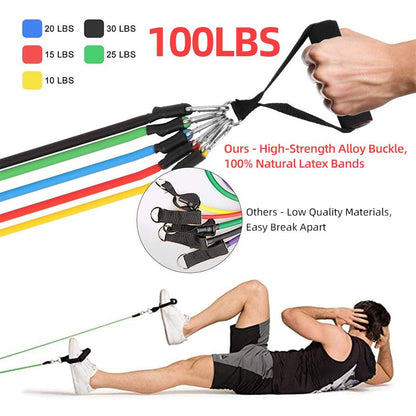 Expander Elastic Bands