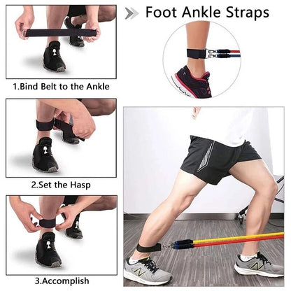 Expander Elastic Bands