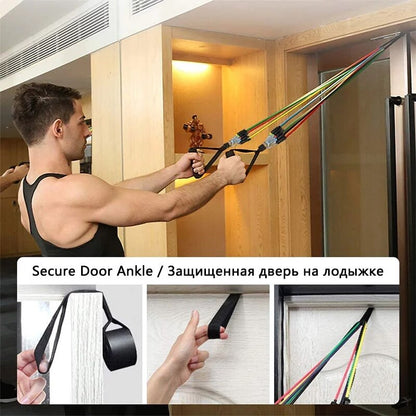 Expander Elastic Bands