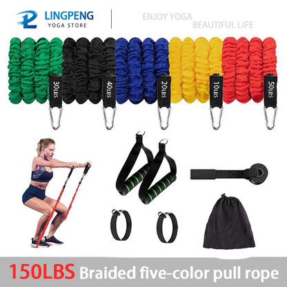 Resistance Exercise Bands